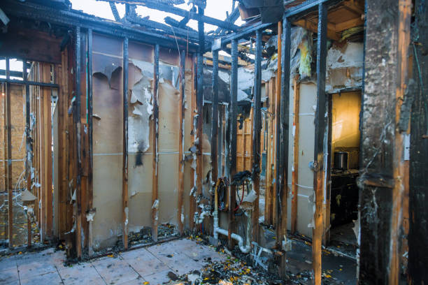 Professional Fire Board Up technician working in Webster, FL