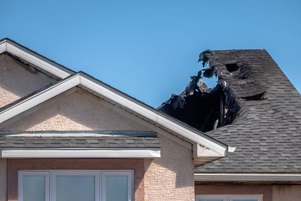 Top rated local Fire Board Up specialists in Webster, FL